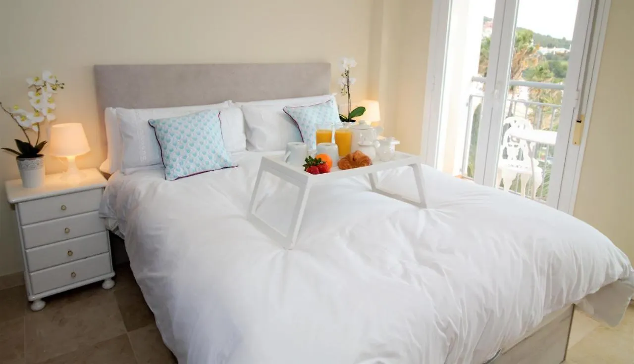 Villa Rosa luxury private large Villa to rent Manilva Spagna
